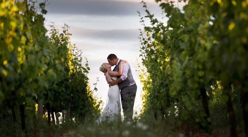 A bride and groom kissing in the J Wrigley Vineyard